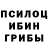 Галлюциногенные грибы Psilocybine cubensis Limited.