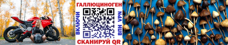 купить наркотик  Липки  kraken ТОР  Галлюциногенные грибы Psilocybe 